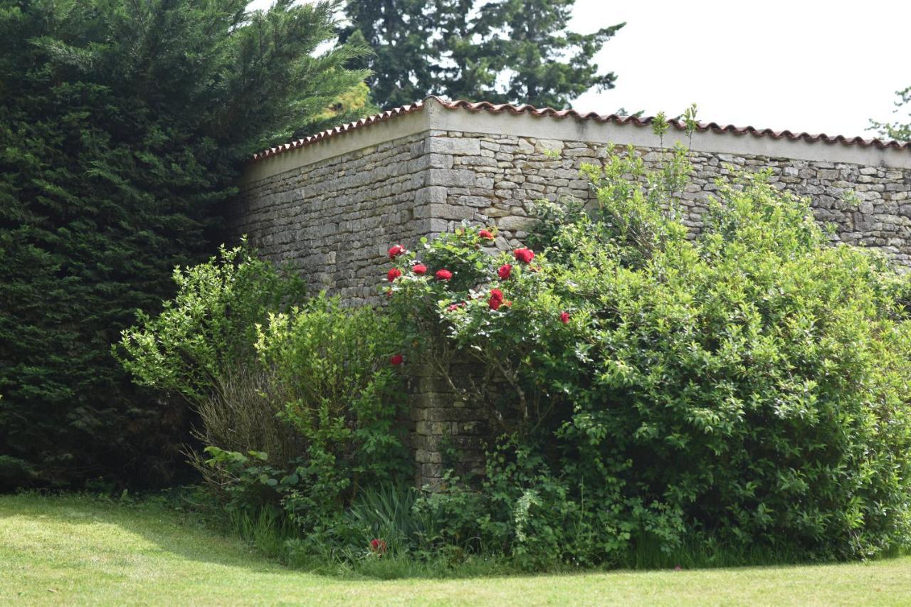Un Jardin Et Trois Maisons Brux 外观 照片